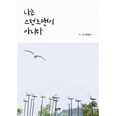 나는 스턴트맨이 아니다, 좋은땅, 홍긍표