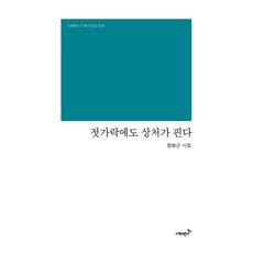 젓가락에도 상처가 핀다, 정원근 저, 시와반시