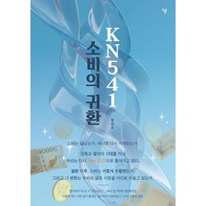 KN541 소비의 귀환, 하움출판사, 정차조