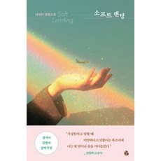 소프트 랜딩:나규리 장편소설, 나규리 저, 마이디어북스