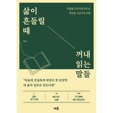 [채륜]삶이 흔들릴 때 꺼내 읽는 말들 : 마음을 단단하게 만드는 위대한 사상가의 지혜
