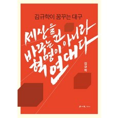 [학이사]세상을 바꾸는 건 혁명이 아니라 연대다, 학이사, 김규학