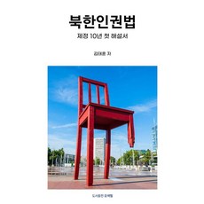 [오색필통]북한인권법 : 제정 10년 첫 해설서, 오색필통, 김태훈