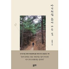 아기처럼 늙어 가는 길:조현국 시집, 좋은땅, 조현국