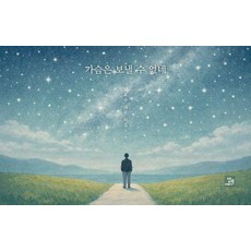 가슴은 보낼 수 없네:김효수 네모 시집, 밥북, 김효수