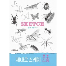 [더디퍼런스]제대로 스케치 곤충 - 제대로 스케치, 더디퍼런스, 연필이야기