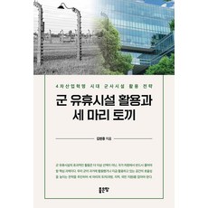 군 유휴시설 활용과 세 마리 토끼:4차 산업혁명 시대 군사시설 활용 전략, 좋은땅, 김현종 좋은땅, 김현종