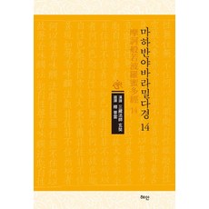 Hyean 摩訶般若波羅蜜多經 14 (精裝)