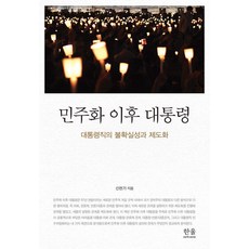 민주화 이후 대통령:대통령직의 불확실성과 제도화, 신현기 저, 한울아카데미
