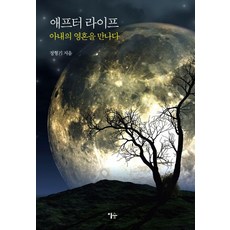 애프터 라이프:아내의 영혼을 만나다, 이숲, 정형기
