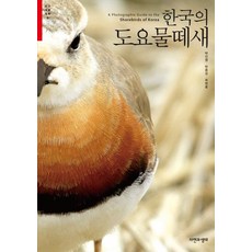 [자연과생태]한국의 도요물떼새, 상세페이지 참조