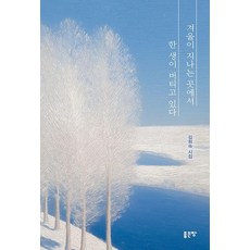 겨울이 지나는 곳에서 한 생이 버티고 있다:김희숙 시집, 좋은땅, 김희숙