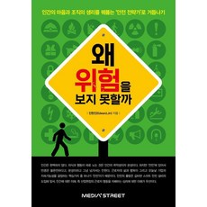 왜 위험을 보지 못할까:인간의 마음과 조직의 생리를 꿰뚫는 안전 전략가로 거듭나기, 미디어스트리트, 진현진