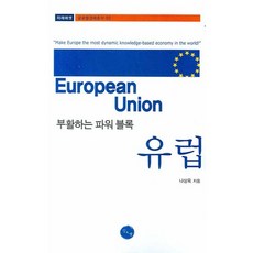 부활하는 파워 블록 유럽, 김&정, 나상욱 저
