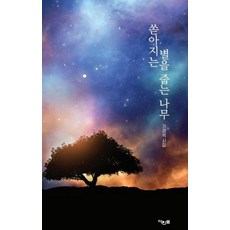 쏟아지는 별을 줍는 나무:기경석 시집