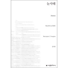 눈사태, 지식을만드는지식, 빅토리야 토카레바 저/김서연 역