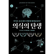 의식의 탄생:의식은 혼돈에서 어떻게 태어날까?, 1 1