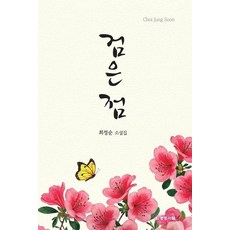 검은 점:최정순 소설집, 기타