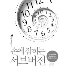 손에 잡히는 서브버전:Pragmatic Guide to Subversion, 인사이트