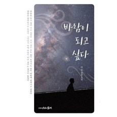 바람이 되고 싶다:강전 장편소설, 강전 저, 시간의물레