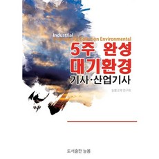 대기환경기사 산업기사 5주 완성(2015), 늘봄