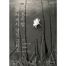 외로운 밤 찬 서재서 당신 그리오:가장 소중했던 사람 아내에게 바치는 노래, 일빛, 정선용 편저/이미란 사진