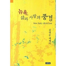 뉴욕 삶과 사랑의 풍경:김명순 에세이, 청동거울