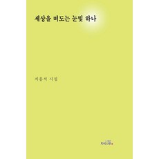 漂泊在世間的一縷眼神：池鐘碩詩集, 1