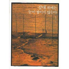 갈대 위에는 눈이 쌓이지 않는다, 삶이보이는창, 유영갑 저,사진