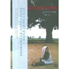 나의 슬픈 아시안, 도솔, 이시이 코타 저/노희운 역