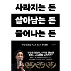 사라지는 돈 살아남는 돈 불어나는 돈:데이터로 보는 넥스트 코스피 투자 전략, 페이지2북스, 김효진