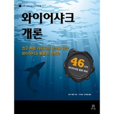 와이어샤크 개론:쉽고 빠른 네트워크 분석을 위한 와이어샤크 활용과 최적화, 에이콘출판