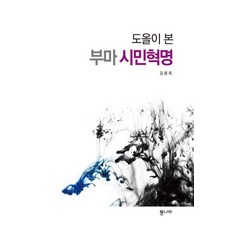 도올이 본 부마 시민혁명, 김용옥, 통나무