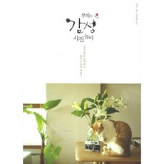 Butti的感性寫真遊戲：用DSLR捕捉閃耀的日常故事, 朴智賢 著, 齊友媒體