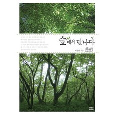 在森林裡相遇, 根與葉子