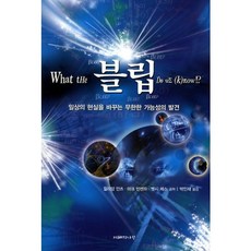 JIHYEUINAMU Bleep(WHAT The BLEEP DO WE KNOW)：改變日常現實的無限可能性的發現, 威廉·安茲,馬克·文森特,貝琪·切斯 共著/朴仁在 譯