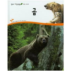 곰, 연두비