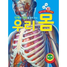 인체의 내부를 보여 주는 우리 몸:사실적 입체적 3D 컴퓨터그래픽 과학 백과, 효리원, 잔 스트래들링, 없음null