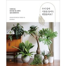 sigmabooks 在家裡養植物可以嗎?： 從尋找適合我的伴侶植物的方法到室內裝潢, Ryusuke Sakaino
