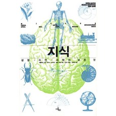 Ikkeulrio 知識, 蒂洛·舒帕爾