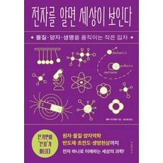 [문예춘추사]전자를 알면 세상이 보인다 : 물질·양자·생명을 움직이는 작은 입자