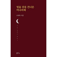 얼음 강을 건너온 미나리체 - 달아실시선 37, 달아실, 손한옥