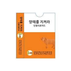 KoreanAssociationOfFigureTherapy 守護羊群 娃娃治療卡, 崔光鉉