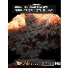 Houdini 李南國的 Pyro FX 講座 (煙霧 火焰 爆炸)(USB), Wild Cube