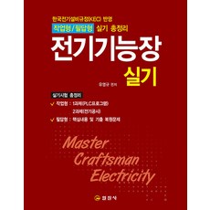 電氣技能長實技：作業型/筆答型實技總整理, 日進社