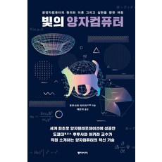 빛의 양자컴퓨터:광양자컴퓨터의 원리와 이론 그리고 실현을 향한 여정, 동아시아, 후루사와 아키라