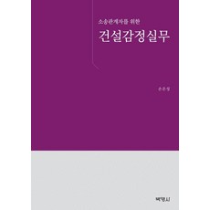 소송관계자를 위한 건설감정실무, 박영사, 손은성
