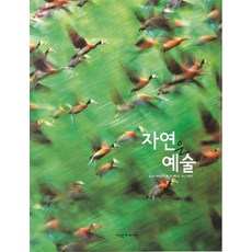 自然是藝術, Yeowon Media韓國Gardner, 海因里希·范登伯格