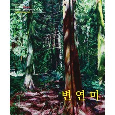 邊緣美, 六邊形, 卞延美