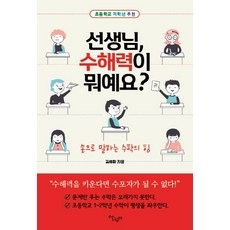 선생님 수해력이 뭐예요? : 손으로 말하는 수학의 힘, 살림터, 김세환